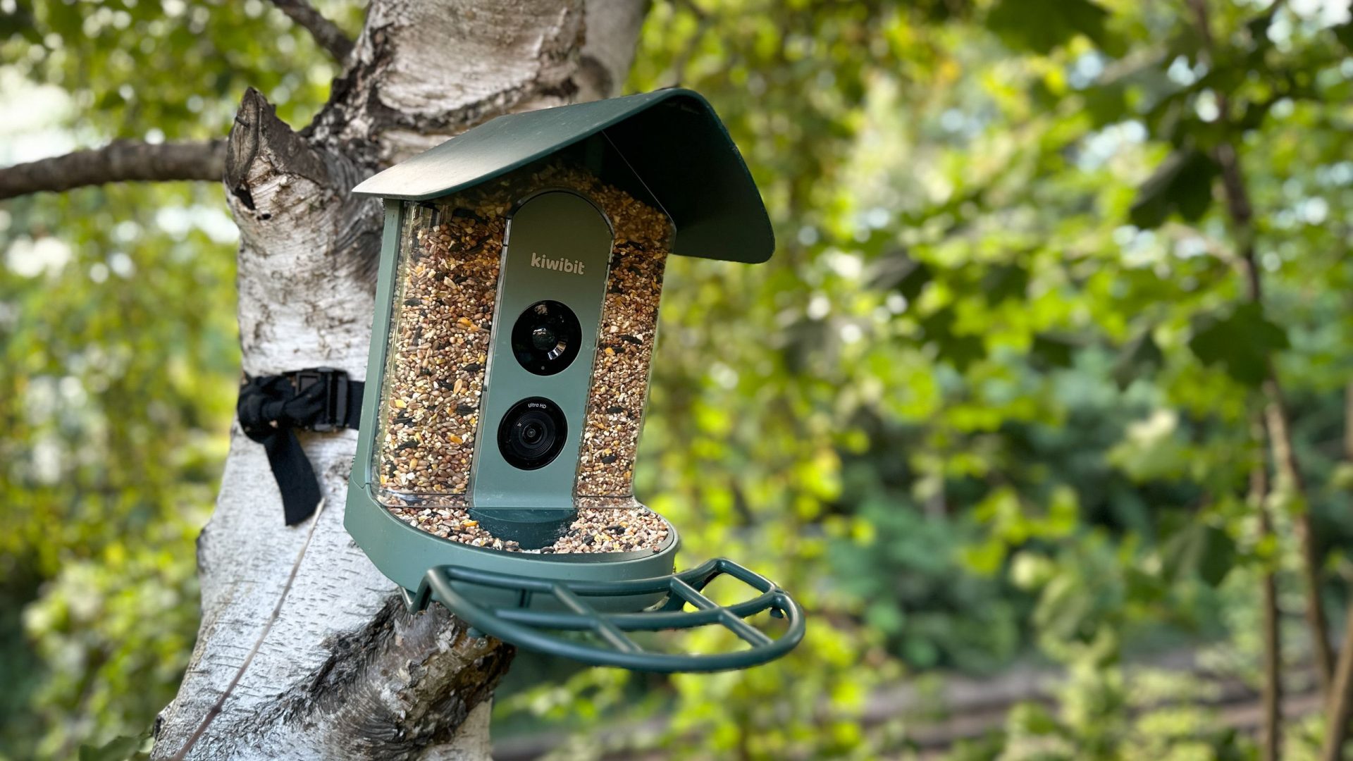 Обзор Kiwibit Beako Smart Bird Feeder — первая умная кормушка с 4K-камерой