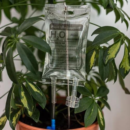 Умное устройство для растений Willow: контроль и уход дома