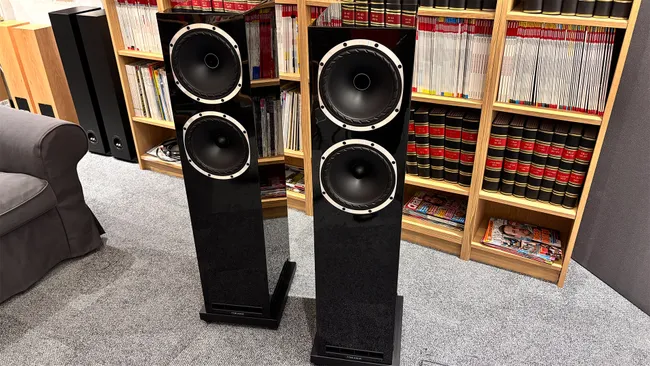 Обзор Fyne Audio F502S: башни премиум-класса картинка Fyne Audio F502S
