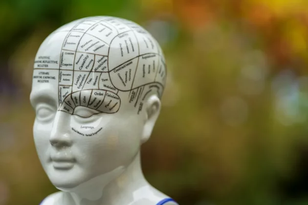 Обзор Sigma 200mm f/2 DG OS Sports — быстрый телевик