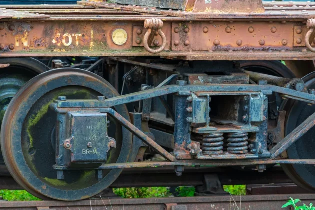 Обзор Sigma 200mm f/2 DG OS Sports — быстрый телевик