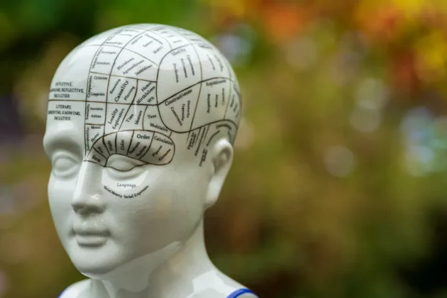 Обзор Sigma 200mm f/2 DG OS Sports — быстрый телевик