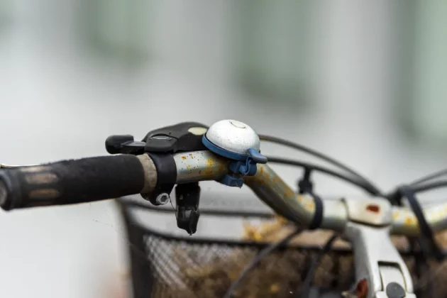 Обзор Sigma 200mm f/2 DG OS Sports — быстрый телевик