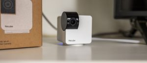 Обзор Petcube Cam 360: полный охват для наблюдения за питомцами