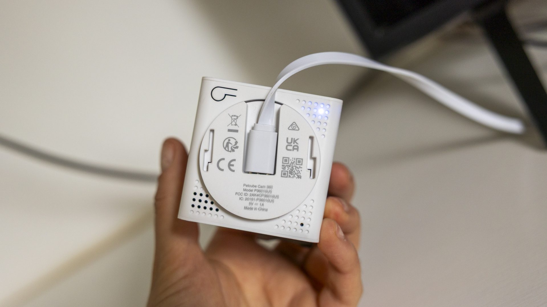 Обзор Petcube Cam 360: полный охват для наблюдения за питомцами картинка Petcube Cam 360