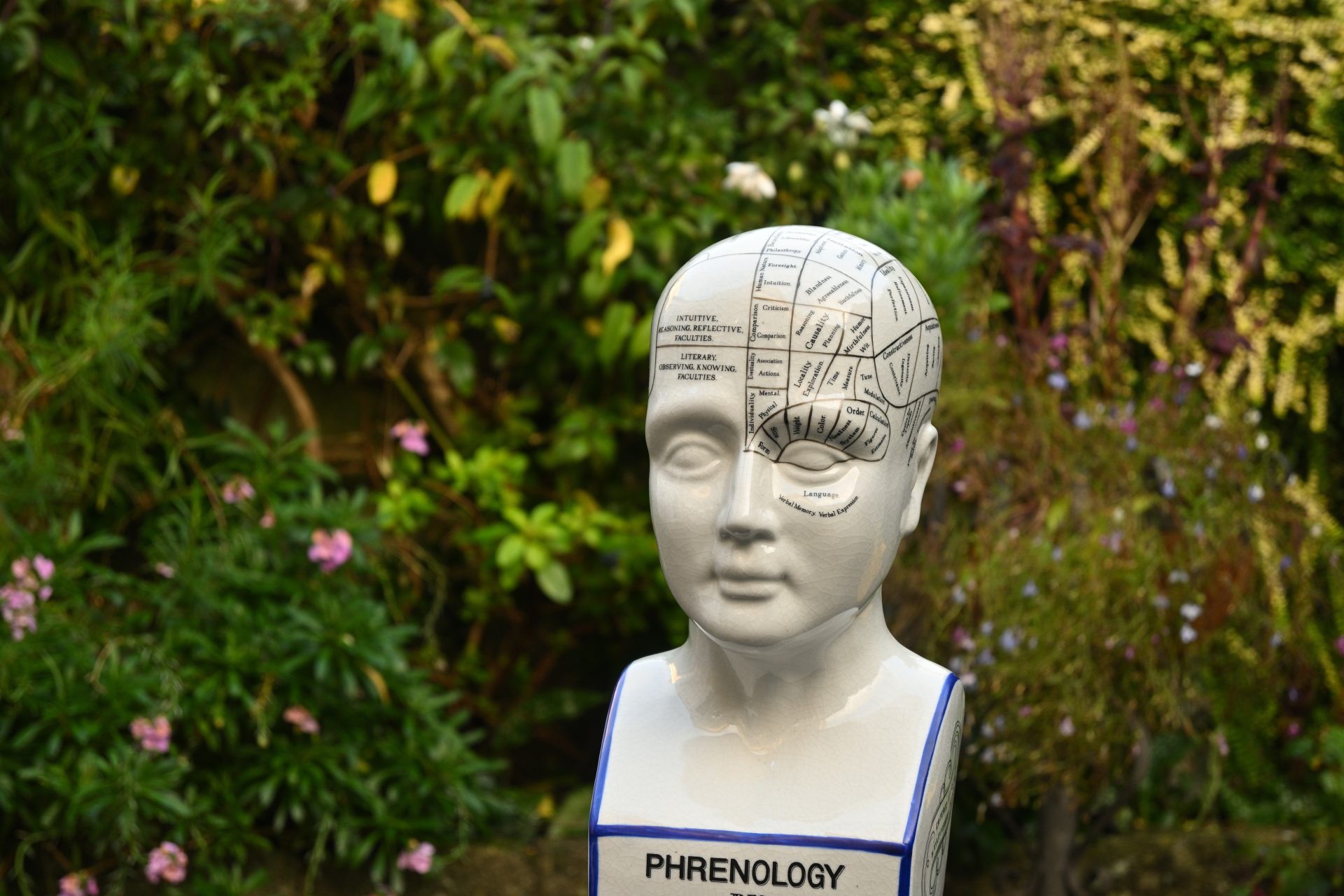 Nikon Z DX 16–50mm f/2.8 VR