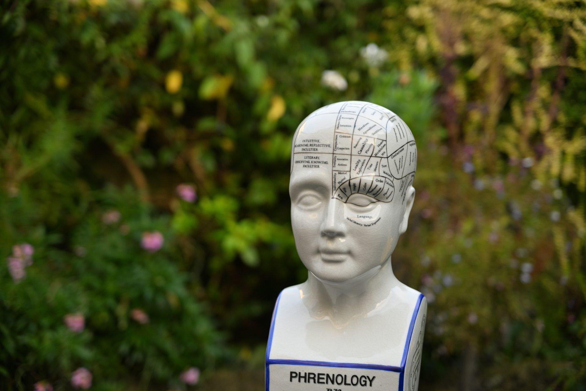 Nikon Z DX 16–50mm f/2.8 VR