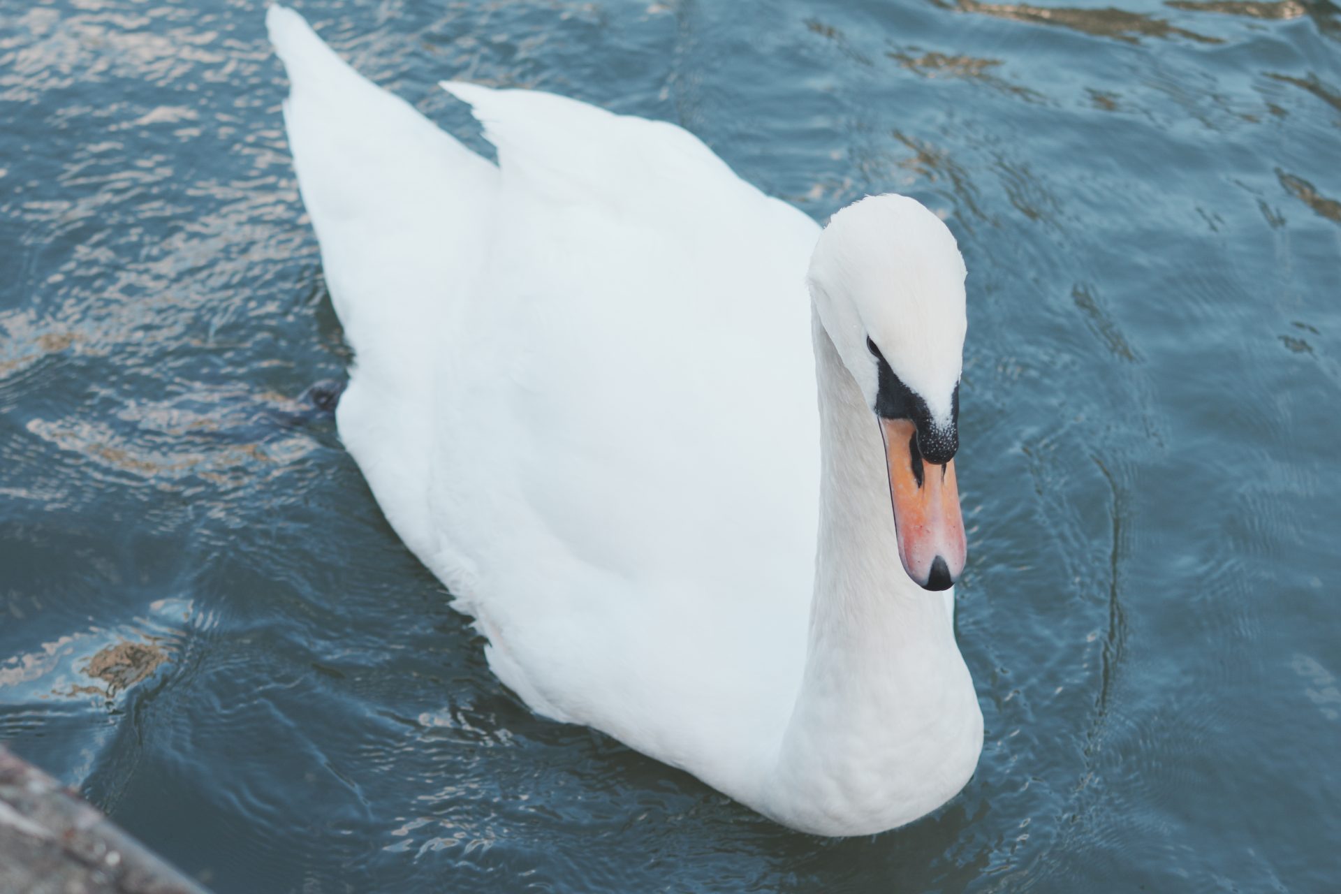 Обзор Sony RX1R III: достойная камера по грабительской цене картинка Sony RX1R III