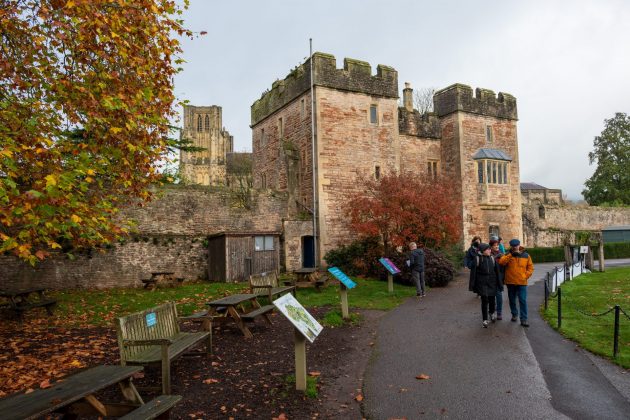 Nikon Z DX 16–50mm f/2.8 VR