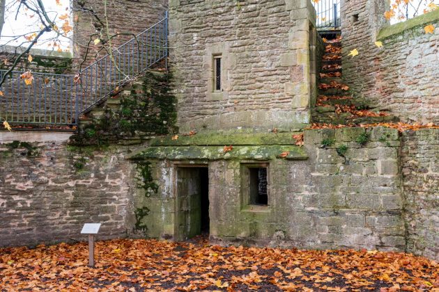 Nikon Z DX 16–50mm f/2.8 VR