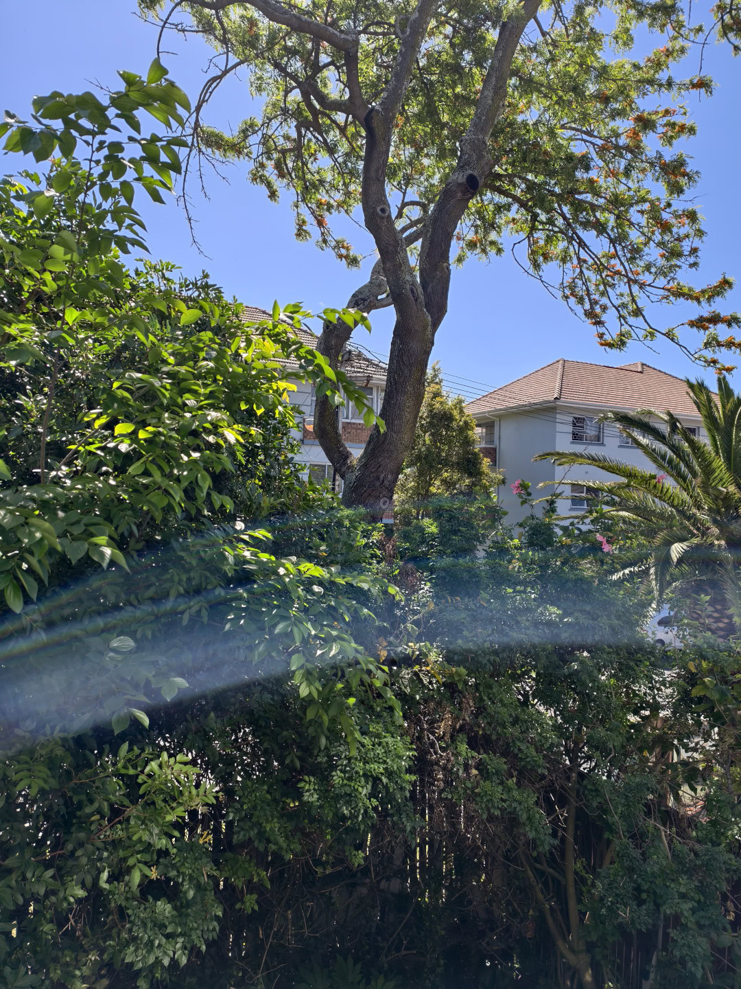 Обзор vivo X300 Pro: один из лучших камерофонов 2025 года картинка vivo X300 Pro