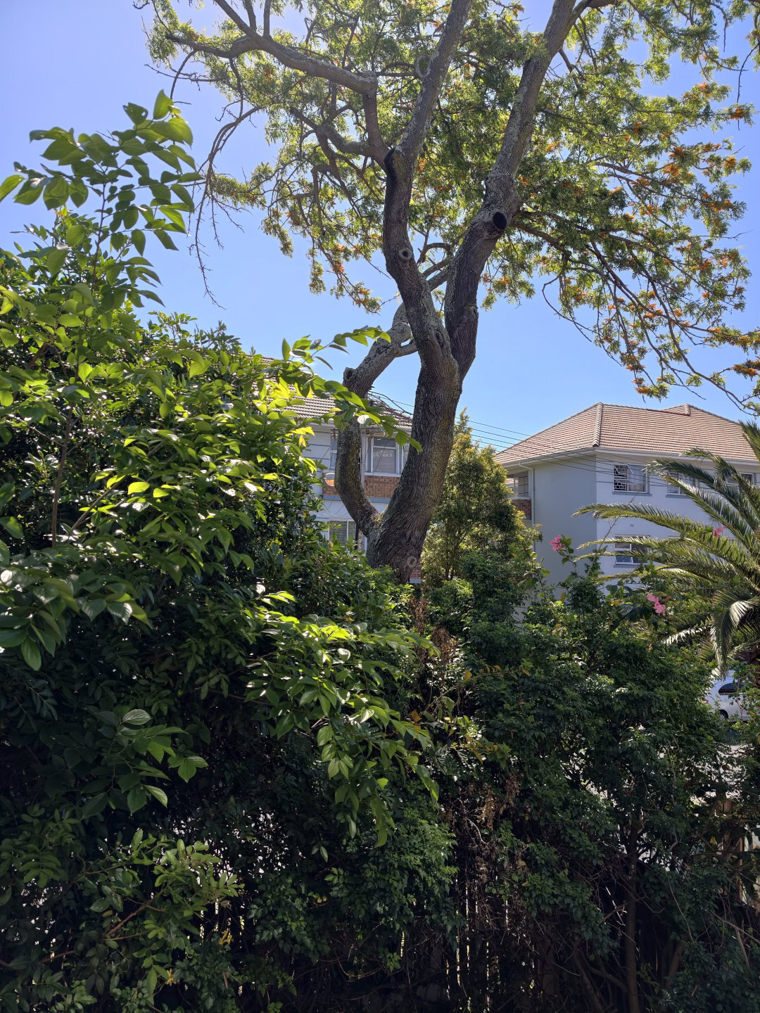 Обзор vivo X300 Pro: один из лучших камерофонов 2025 года картинка vivo X300 Pro