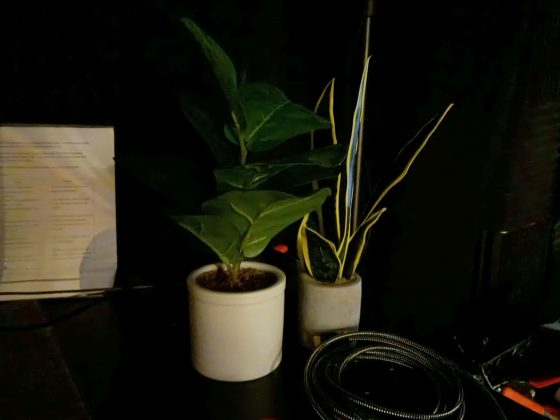 Motorola Moto G Play (2026)