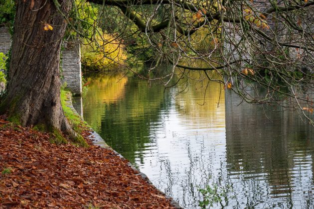 Nikon Z DX 16–50mm f/2.8 VR