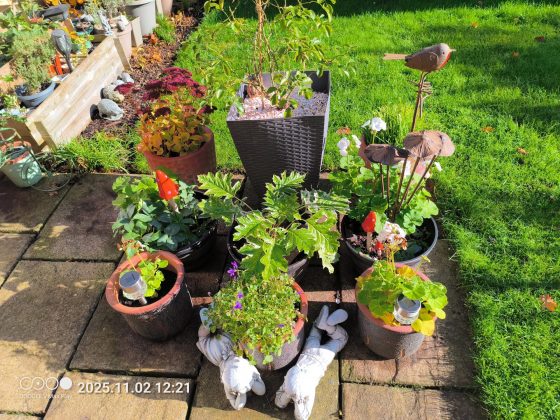 Обзор Doogee V Max Play: защищенный телефон для искателей приключений... и тяжелоатлетов фото