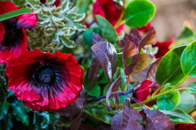 Nikon Z DX 16–50mm f/2.8 VR