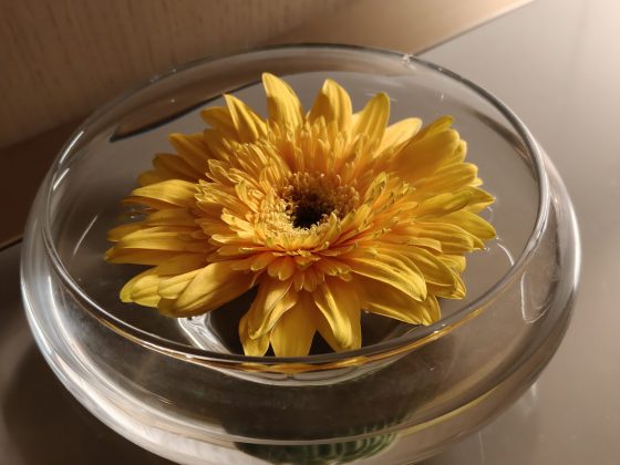 Обзор OnePlus 15R: хороший премиум-смартфон, но одна вещь разочаровывает фото