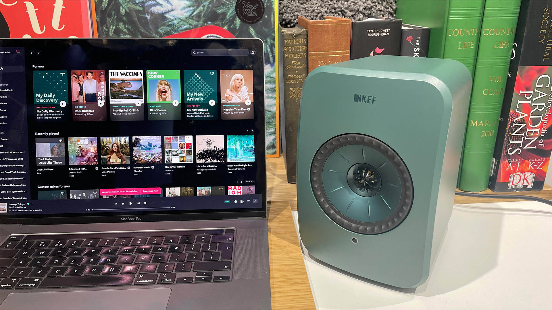 Обзор KEF LSX II LT: отменный звук по более доступной цене картинка Акустика KEF LSX II LT — компактный Hi-Fi | DGL.RU