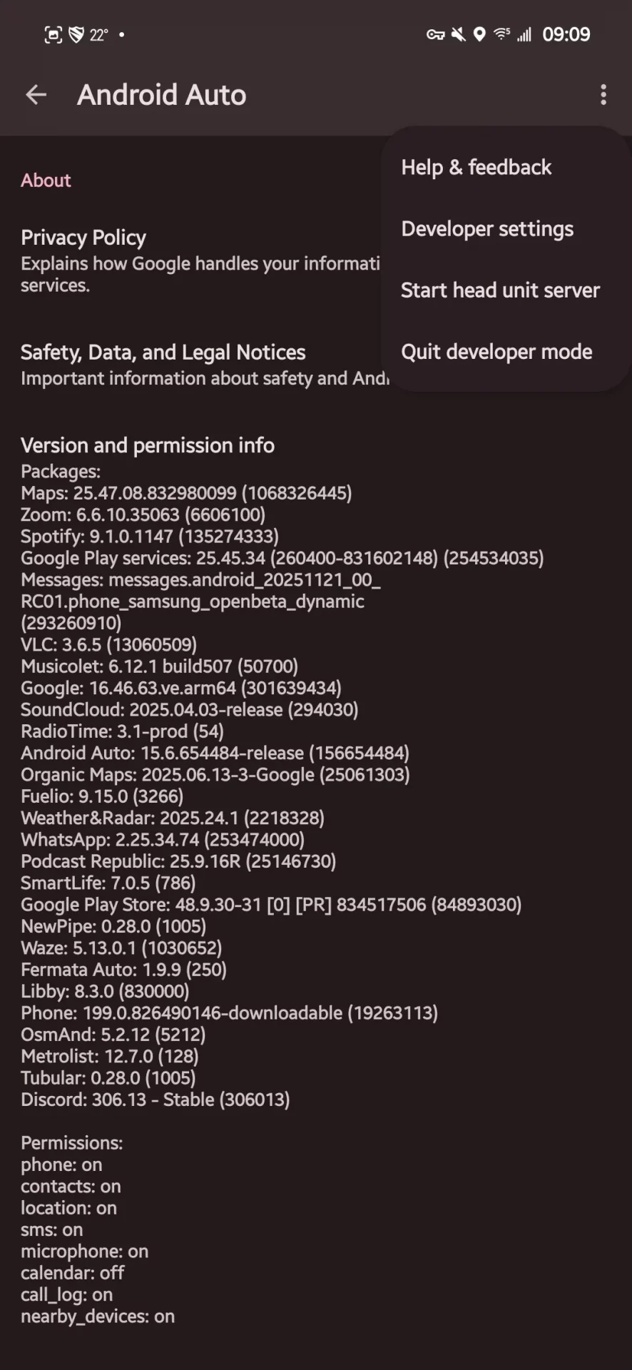 Секретный режим разработчика Android Auto: как получить доступ к запретным настройкам картинка Android Auto