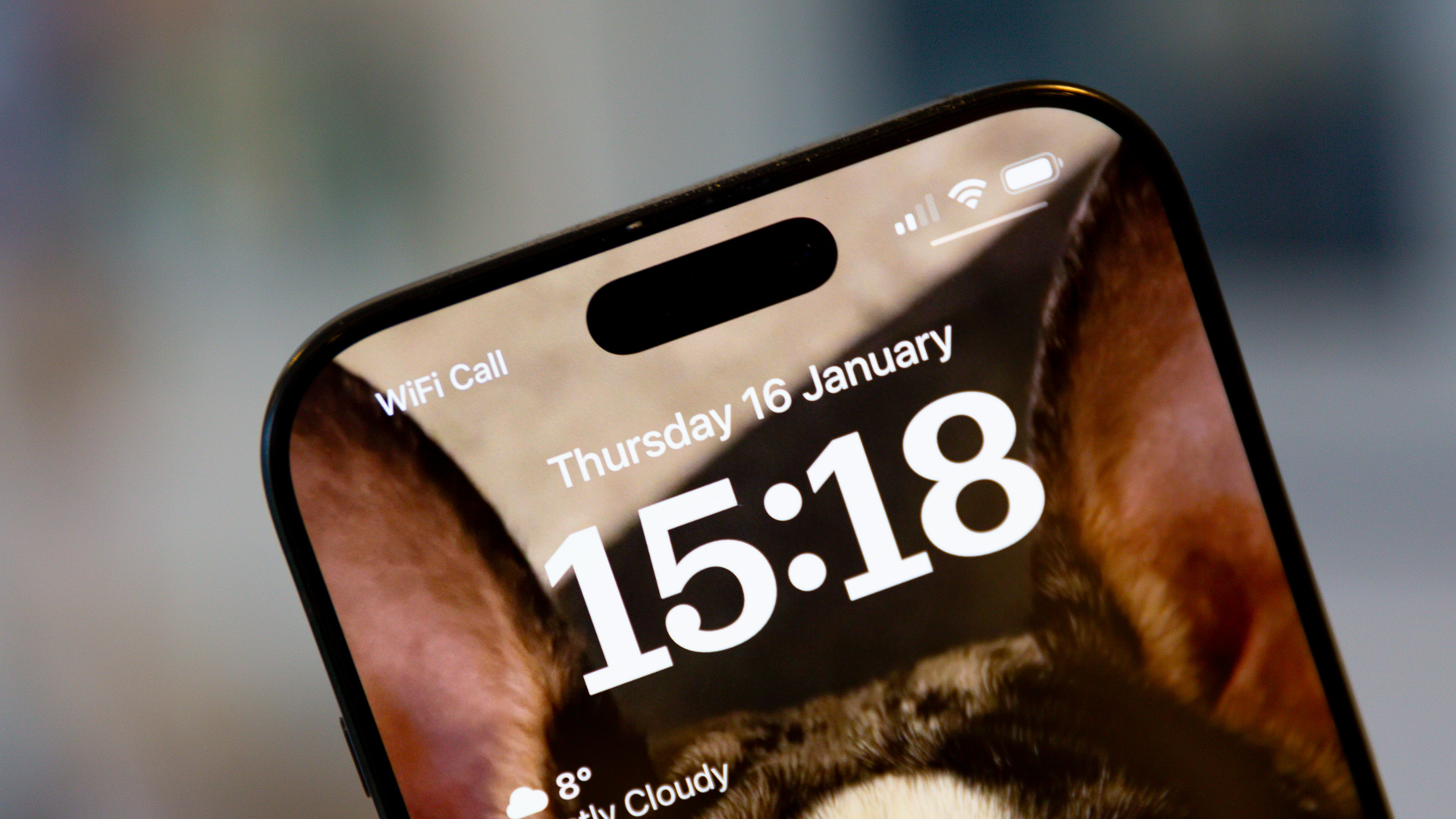 Apple снова все делает не так: складной iPhone лишится Face ID ради сомнительной тонкости картинка Складной iPhone от Apple останется без Face ID | DGL.RU