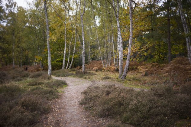 Беззеркальная камера Leica M EV1 | DGL.RU