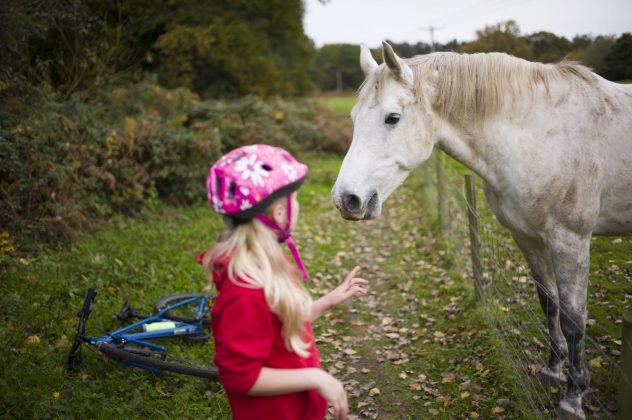 Беззеркальная камера Leica M EV1 | DGL.RU