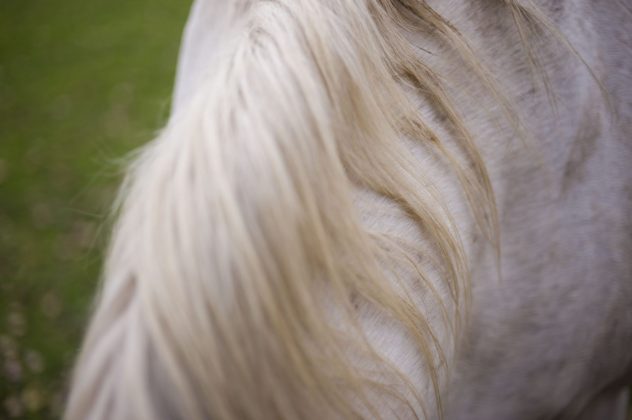 Беззеркальная камера Leica M EV1 | DGL.RU