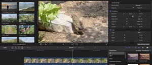 Обзор Apple Final Cut Pro (2025): будущее монтажа или красивый тупик?