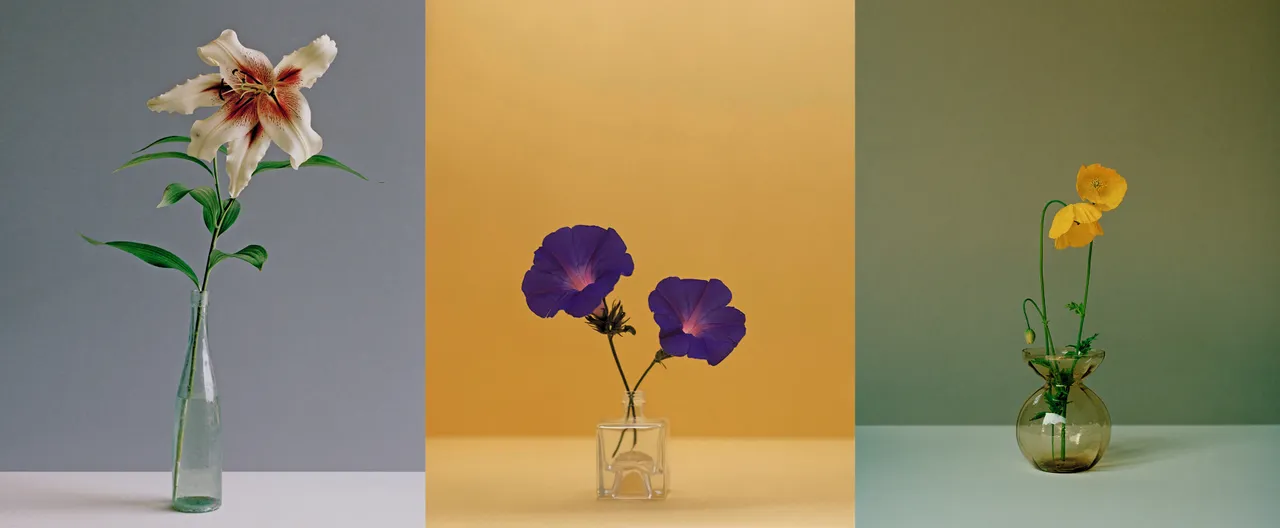 547279Когда природа рисует лучше человека: почему величайшие цветы — главные художники мира 547279Когда природа рисует лучше человека: почему величайшие цветы — главные художники мира