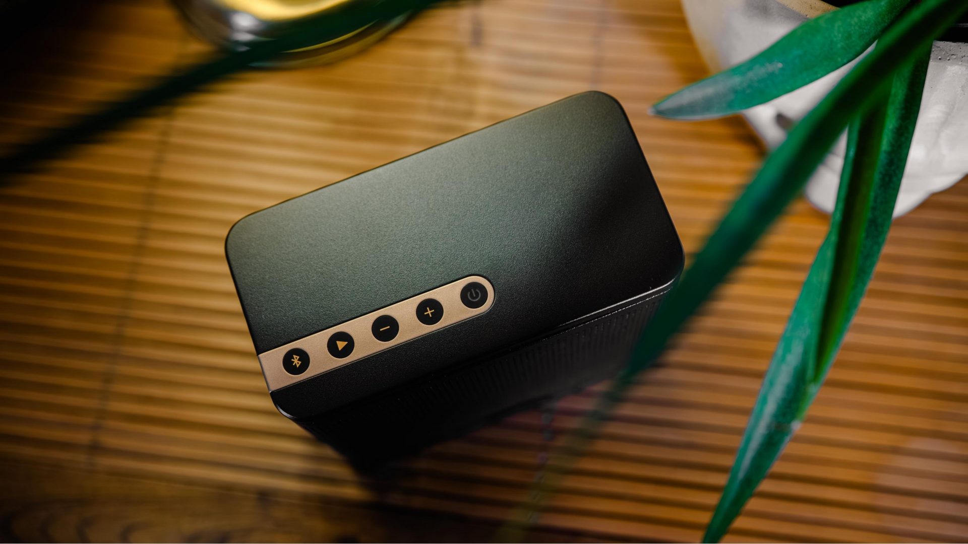 Портативная колонка Elac NAVA100: слабая батарея | DGL.RU