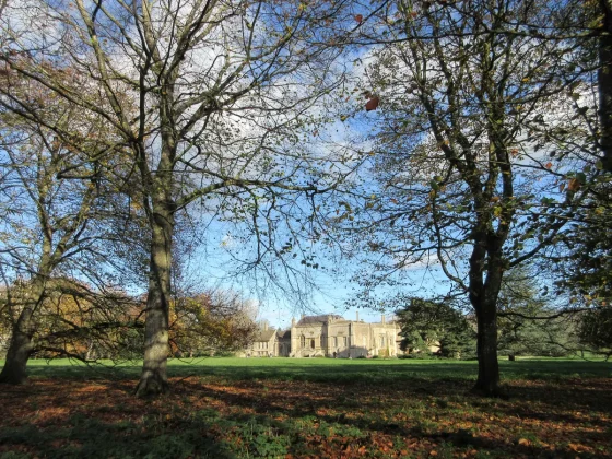 Canon PowerShot Elph 360 HS A