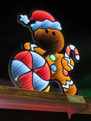 Canon PowerShot Elph 360 HS A