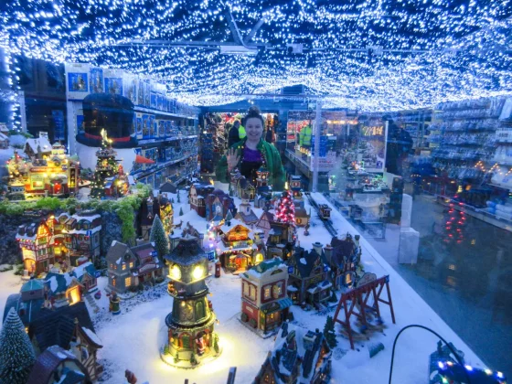 Canon PowerShot Elph 360 HS A