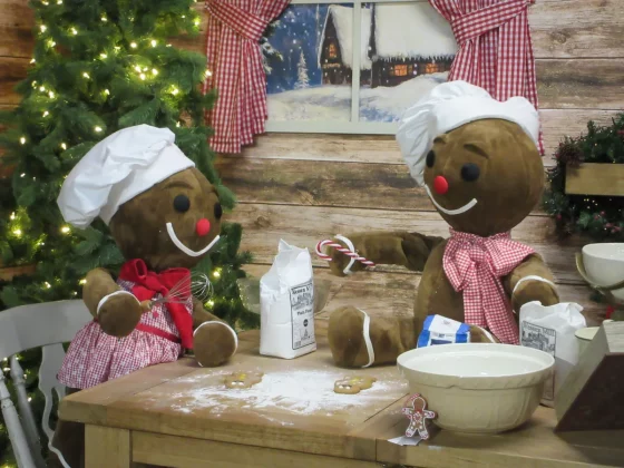 Canon PowerShot Elph 360 HS A