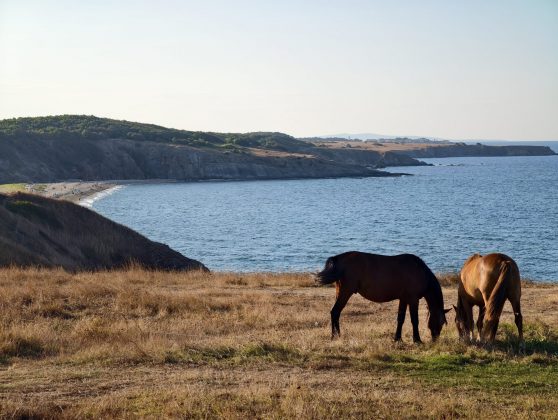 Битва гигантов 2025: пять телефонов, которые вышли победителями фото
