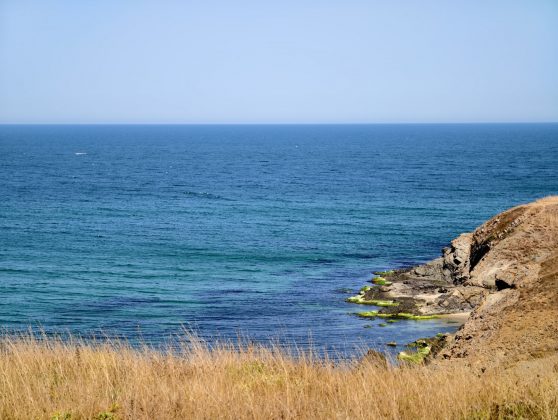 Битва гигантов 2025: пять телефонов, которые вышли победителями фото