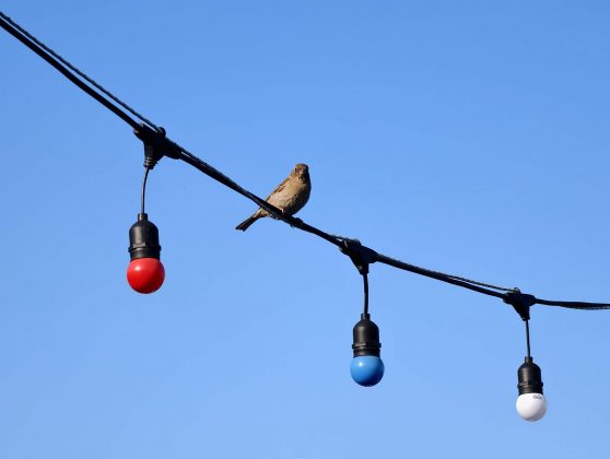 Битва гигантов 2025: пять телефонов, которые вышли победителями фото