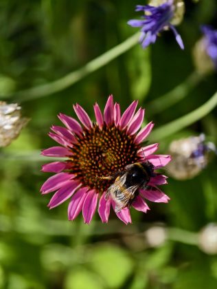 Битва гигантов 2025: пять телефонов, которые вышли победителями фото