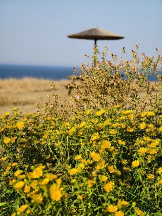 Битва гигантов 2025: пять телефонов, которые вышли победителями фото