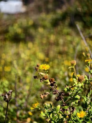 Битва гигантов 2025: пять телефонов, которые вышли победителями фото