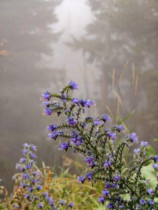 Битва гигантов 2025: пять телефонов, которые вышли победителями фото