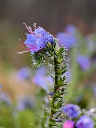 Битва гигантов 2025: пять телефонов, которые вышли победителями фото