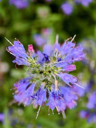 Битва гигантов 2025: пять телефонов, которые вышли победителями фото