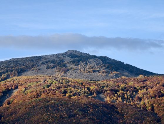 Битва гигантов 2025: пять телефонов, которые вышли победителями фото