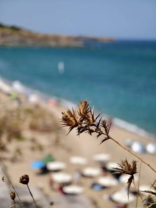 Битва гигантов 2025: пять телефонов, которые вышли победителями фото