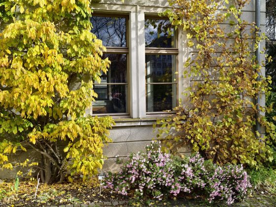 Битва гигантов 2025: пять телефонов, которые вышли победителями фото