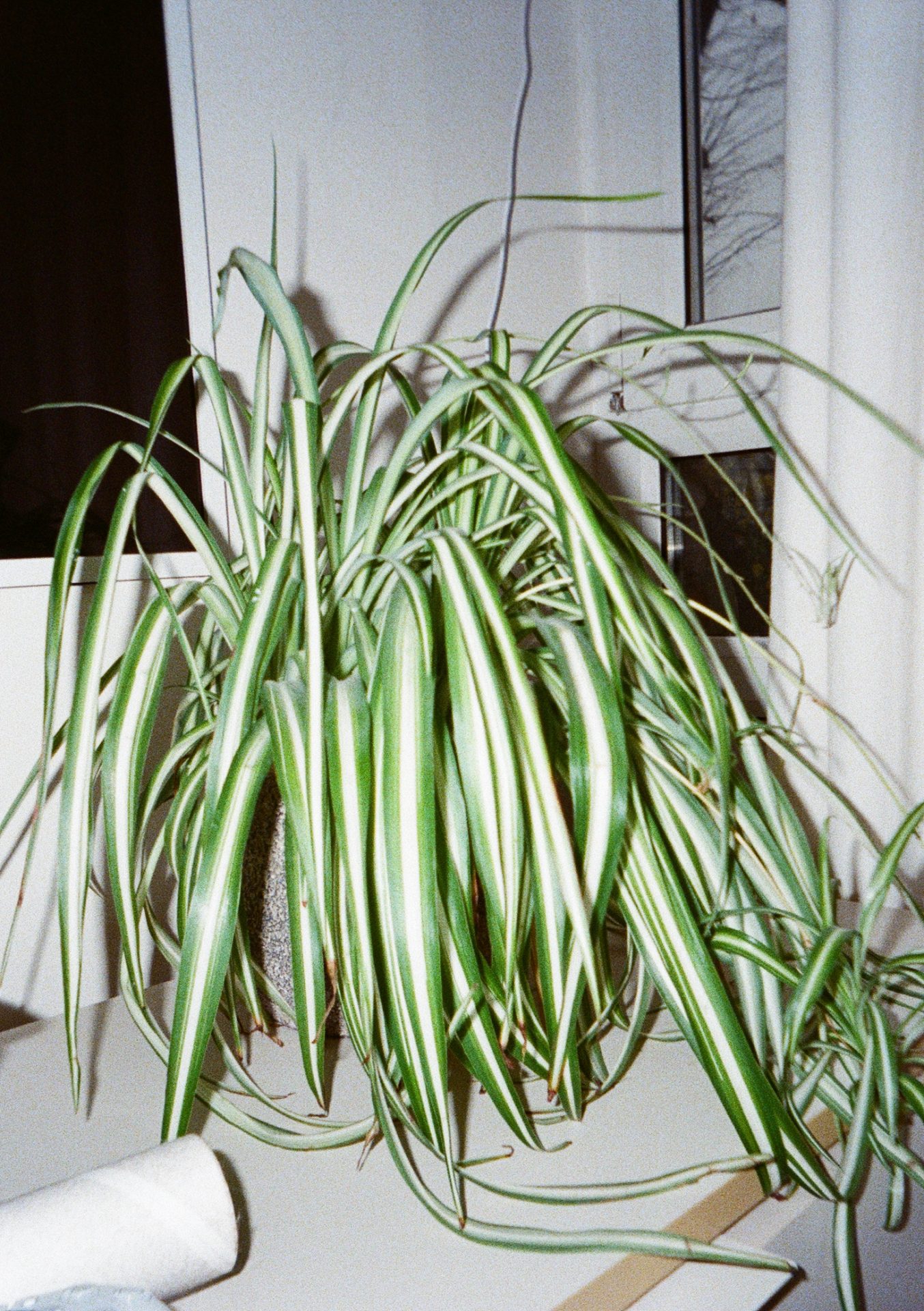 Фотоаппарат Kodak Ektar H35N | DGL.RU