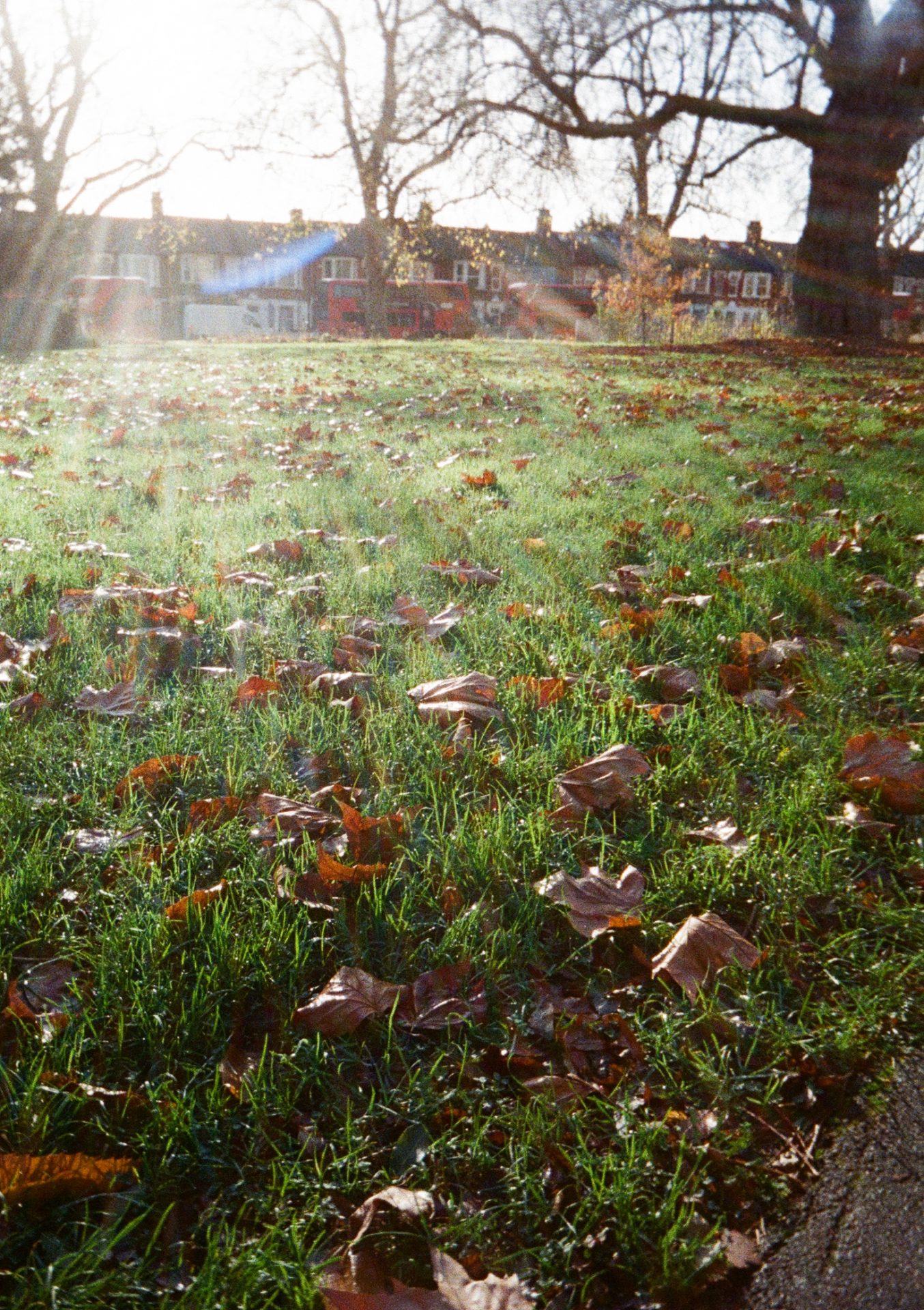 Фотоаппарат Kodak Ektar H35N | DGL.RU