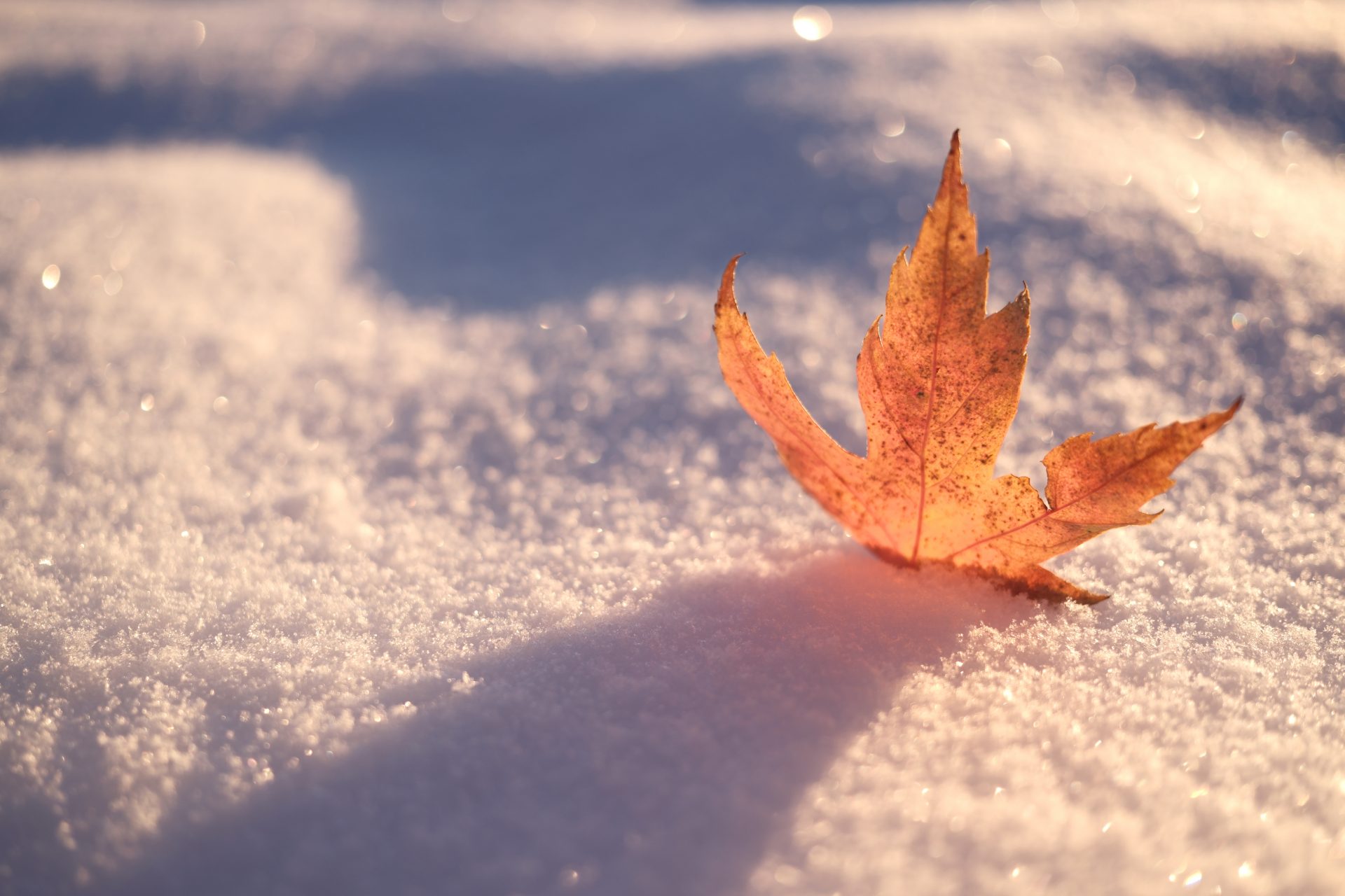 Обзор Fujifilm 23mm f/2.8 R WR: крошечный «блинчик» превращает беззеркальную камеру в компактную картинка Fujifilm 23mm f/2.8 R WR — компактный объектив | DGL.RU