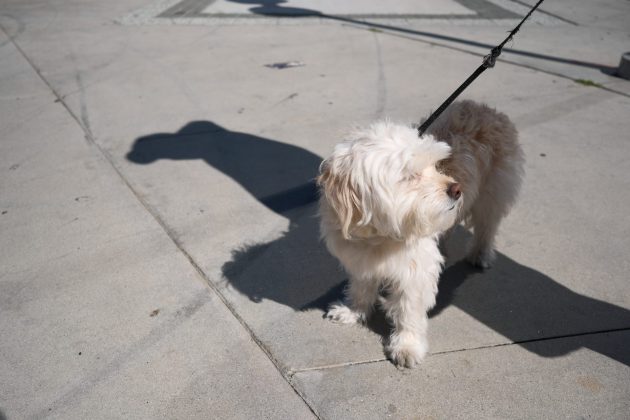 Fujifilm 23mm f/2.8 R WR — компактный объектив | DGL.RU